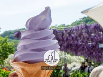 Vente bar brasserie glacier à Concarneau