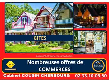 Vente magnifique complexe de 5 gîtes aux Pieux