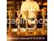 Vente restaurant bar licence IV empl N°1 à Lille