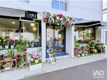 Vente FDC fleuriste axe passant à Mont-de-Marsan