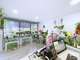 Vente FDC fleuriste axe passant à Mont-de-Marsan