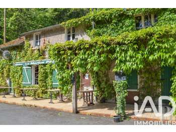 Vente auberge à Nargis Canal du Loing