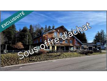 Vente Opportunité établissement Vosges Alsace