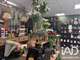 Vente fonds de commerce 63m² à Pontault-Combault