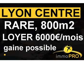 Vend local de 800m² sur Lyon intramuros