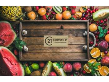 Vente fonds de commerce Primeur Nord des Landes
