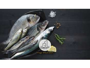 AV poissonnerie traiteur région Concarneau
