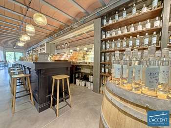 Vente murs et fonds distillerie en Camargue