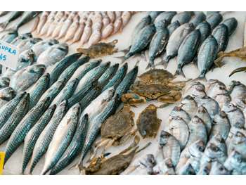 POISSONNERIE AVEC ESPACE DEGUSTATION TARNOS PLAGE