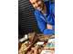 Vente poissonnerie sans concurrence gros CA - 78