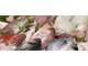 Vente poissonnerie sans concurrence gros CA - 78