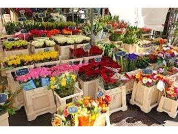 Magasin de fleurs à vendre à Strasbourg Est