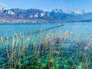 Vente murs commerciaux de 340m² à Annecy