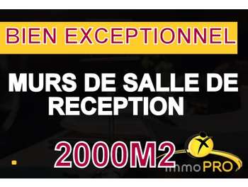 AV murs et fonds salle de réception 20 mn de Lyon