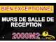 AV murs et fonds salle de réception 20 mn de Lyon