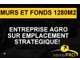 Vente murs et fonds traiteur à Tassin-la-Demi-Lune