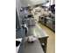Vend pizzeria restaurant brasserie prox plages 56