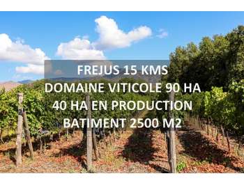 A vendre propriété viticole proche de Fréjus