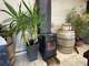 Vente pizzeria/restaurant + parking Aigues Mortes