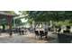 Vente auberge restaurant traiteur à Castelsarrasin