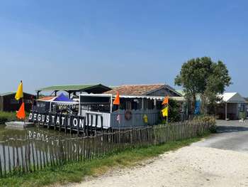 Vente exploitation ostréicole sur l' ile d'Oléron