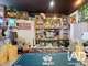 Vente restaurant gastro secteur Vaucanson Grenoble