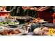 Vente FDC restauration affaire d'angle Lyon 69003