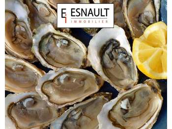 Vente restaurant terrasse 36 pl Montpellier centre