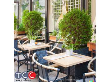 Vente bar restaurant 50m² saisonnier à Niort