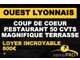 A vendre restaurant du midi terrasse à Pollionnay