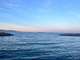 Vente restaurant de plage Golfe de Saint Tropez