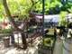 Vente restaurant avec terrasse à Salles d'Aude