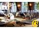 69 Exclusivité restaurant en bord de Saône