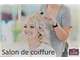 A vendre salon de coiffure ville dynamique Mayenne