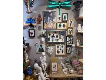 Cession FDC concept store rue piétonne d'Antibes