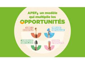 Vente  Entreprise  Divers Services Roubaix