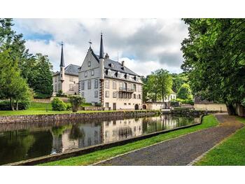 À vendre château du XVIIIe siècle de 25 ch Boersh
