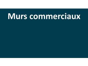 A vendre 2 locaux commerciaux loués Le Mans