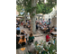 Location gérance brasserie et pizzéria à Bollène