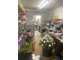 Gérance ou vente boutiques de fleurs à Amboise