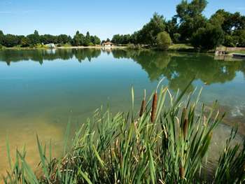 Location-gérance Base de loisirs dans la Meuse 55
