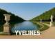 Opportunité Rare agence immo dans les Yvelines