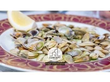 Vente brasserie à themes ville Sud Finistère