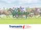 Vente bar tabac PMU rentable secteur Epinal