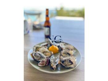 Cède bar PMU grande terrasse port de plaisance 44