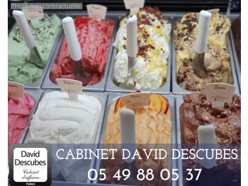 A vendre glacier crêpes gaufres en Vendée