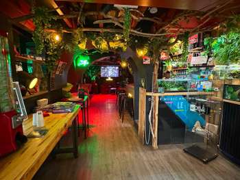Vente bar pub incontournable de la station 05