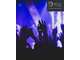 Vente bar de standing emplacement N°1 Vieux Lille