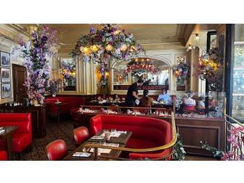 A vendre exceptionnelle brasserie Lyon 69007