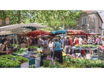 Vente bar à thème au centre de Montbrison